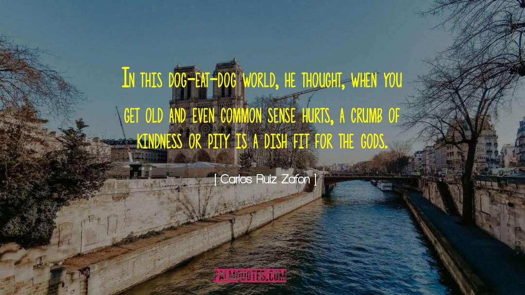 Good Old Common Sense quotes by Carlos Ruiz Zafon