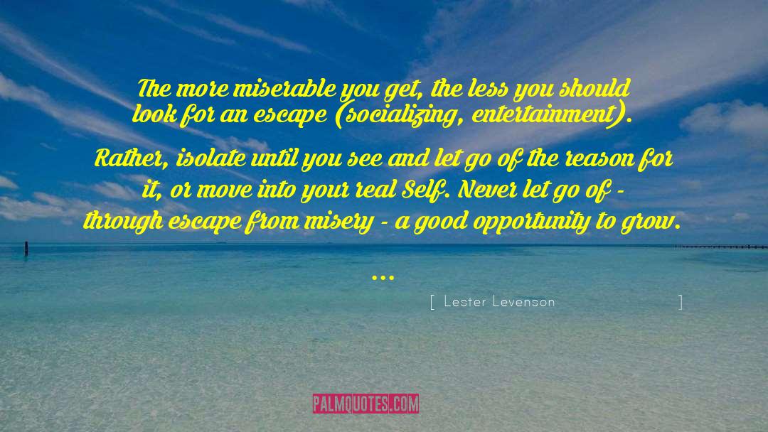 Good Opportunity quotes by Lester Levenson