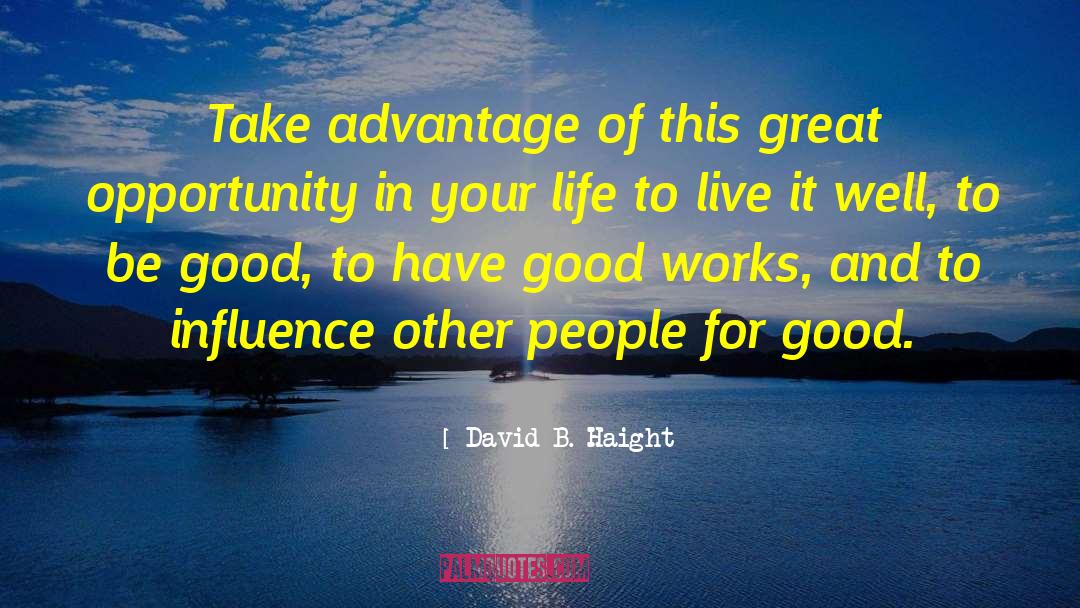 Good Opportunity quotes by David B. Haight