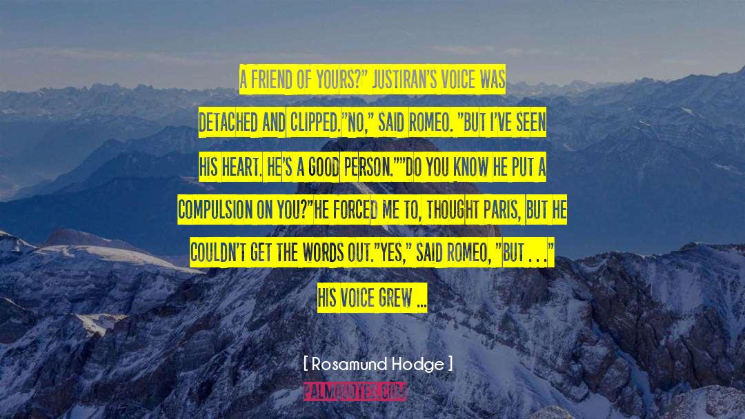 Good Person quotes by Rosamund Hodge