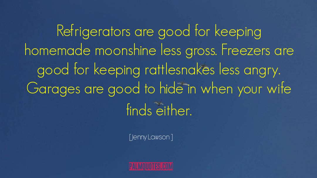 Good Persons quotes by Jenny Lawson