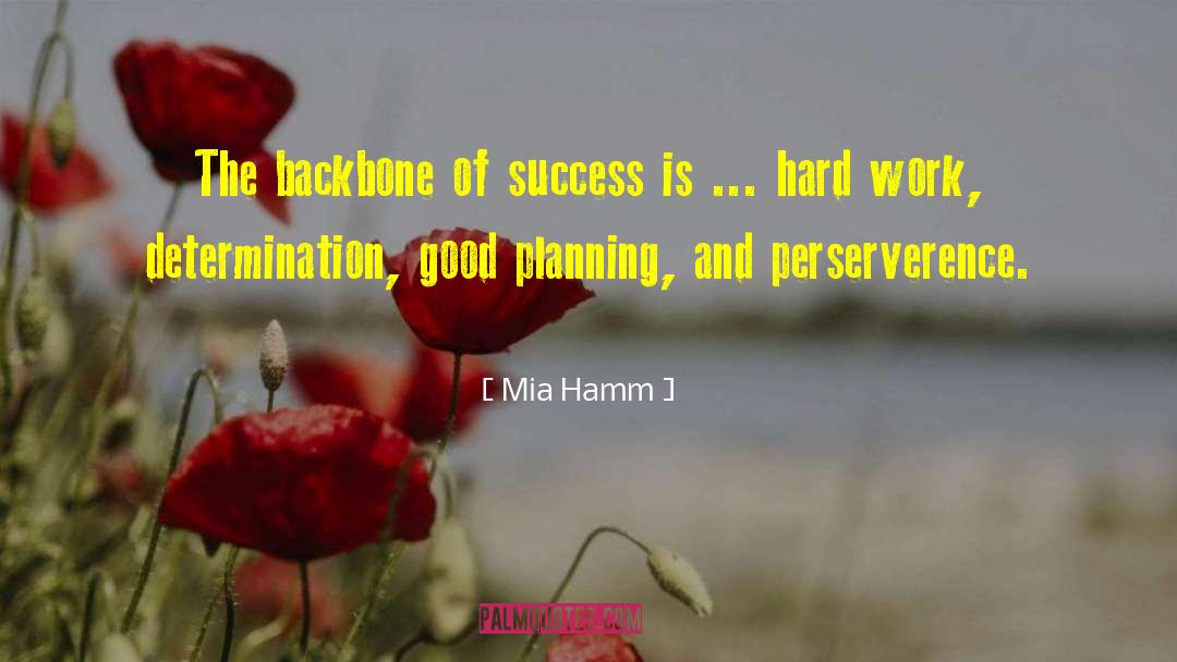 Good Planning quotes by Mia Hamm