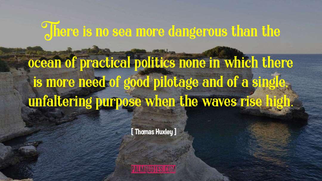 Good Politics quotes by Thomas Huxley