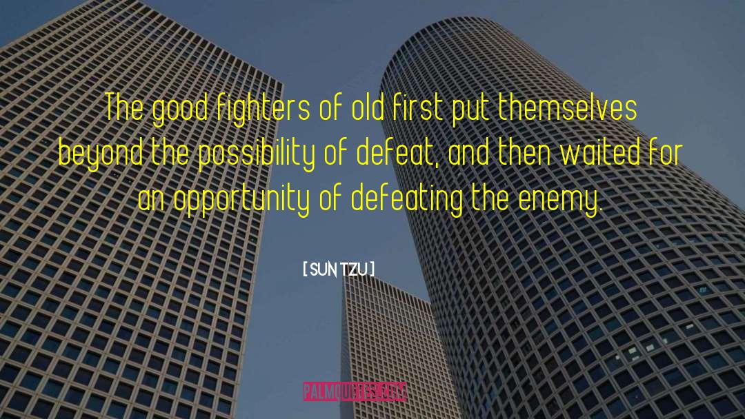 Good Purposes quotes by Sun Tzu