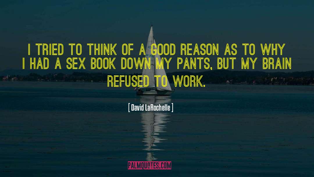 Good Reason quotes by David LaRochelle