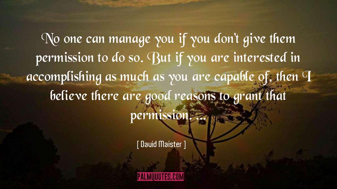 Good Reasons quotes by David Maister
