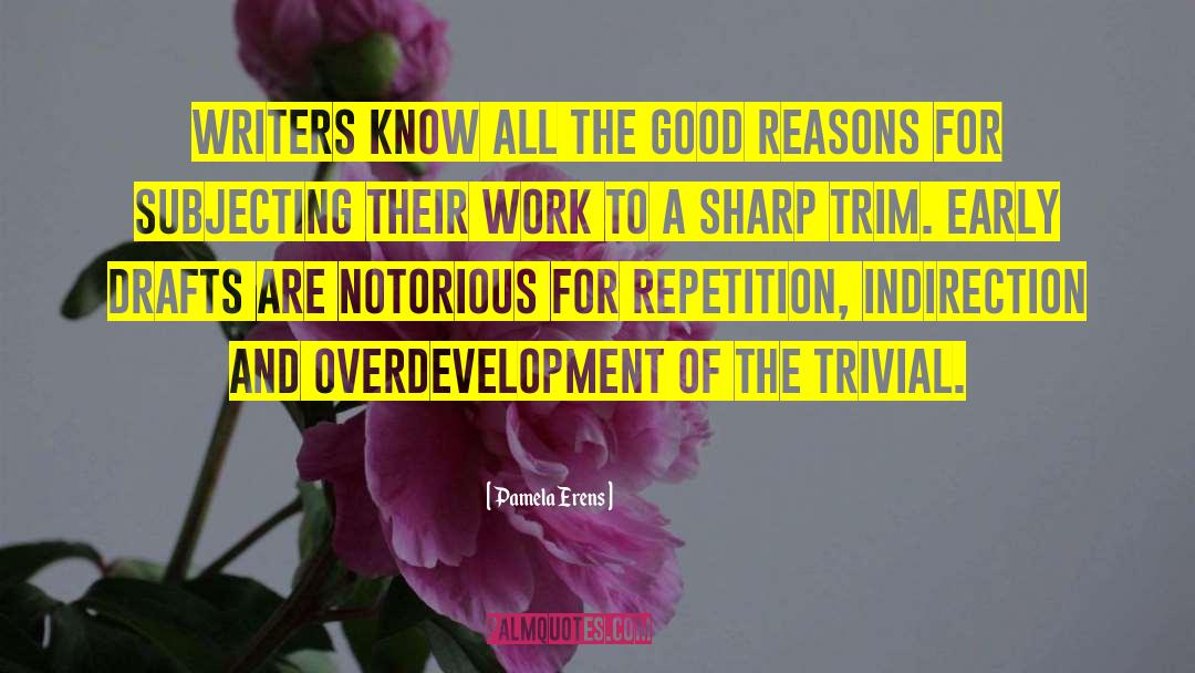 Good Reasons quotes by Pamela Erens