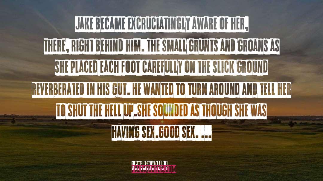 Good Sex quotes by Cherry Adair