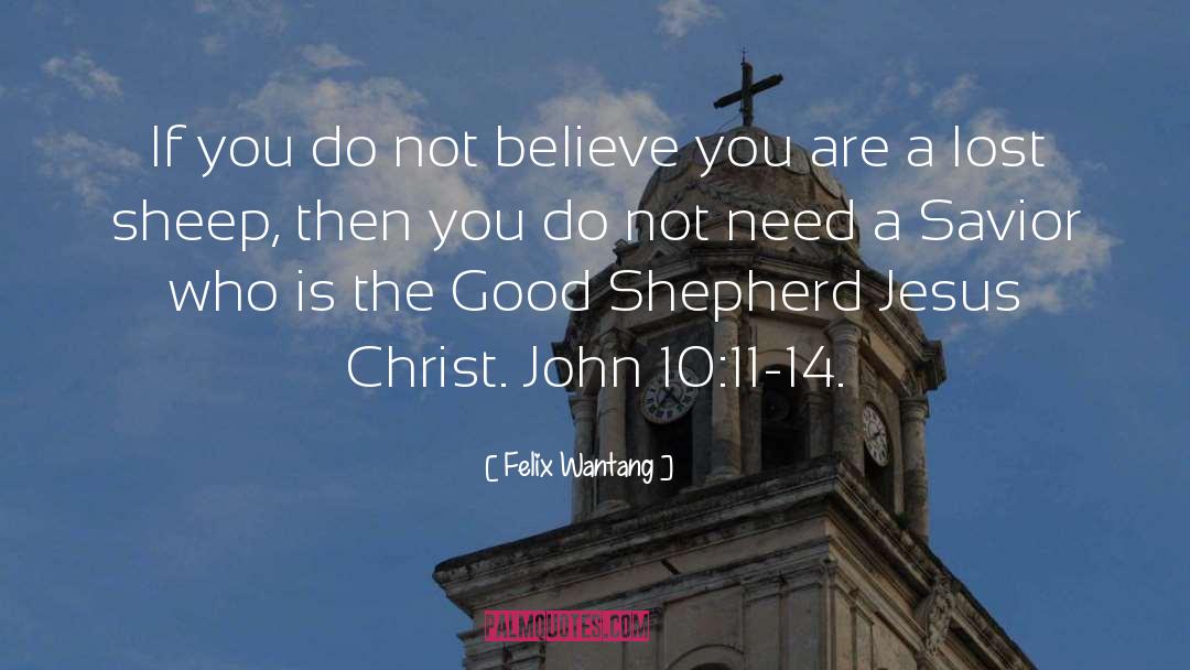 Good Shepherd quotes by Felix Wantang