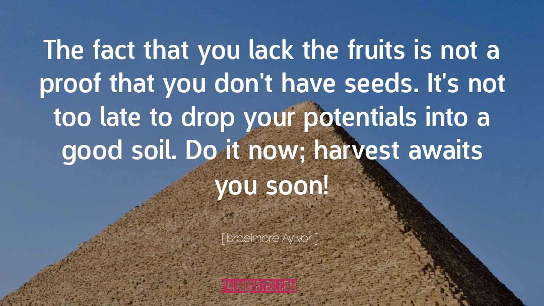 Good Soil quotes by Israelmore Ayivor