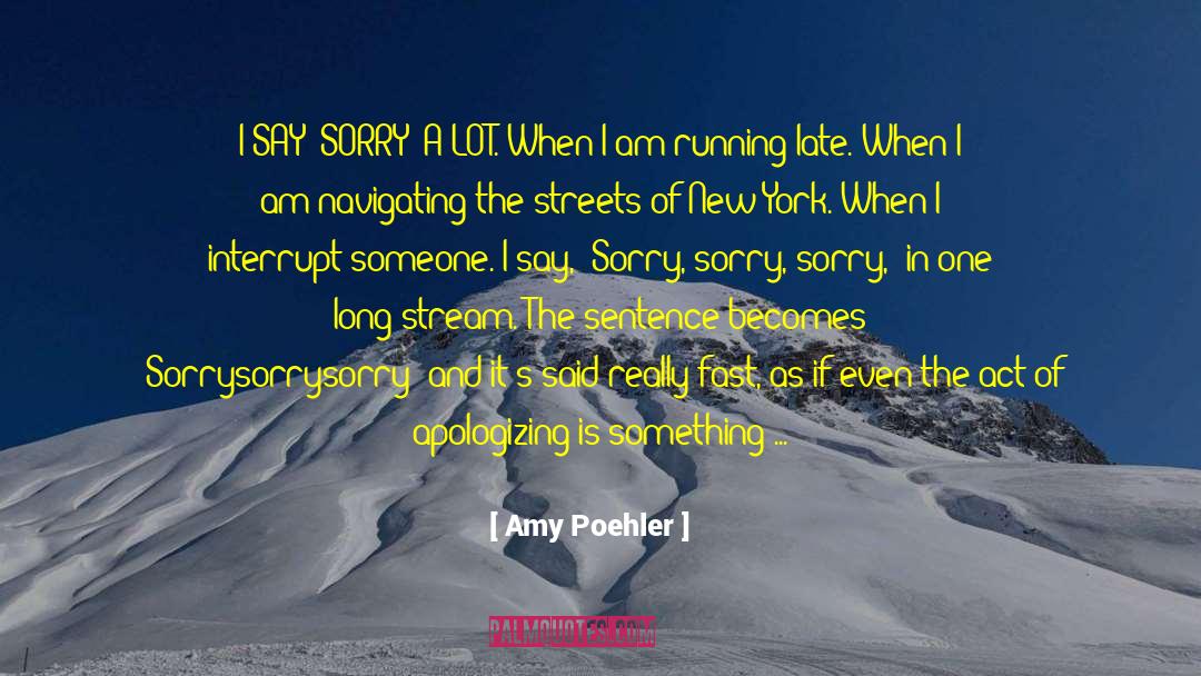 Good Sorry quotes by Amy Poehler