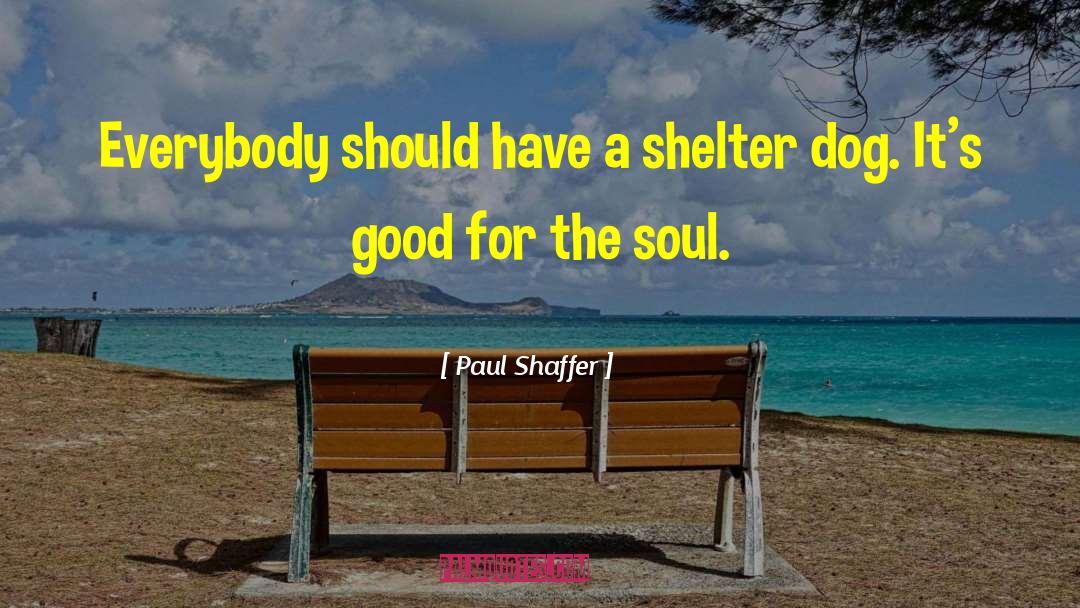 Good Soul quotes by Paul Shaffer