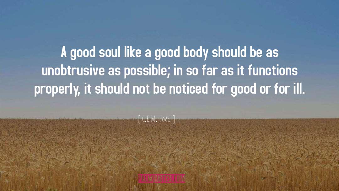 Good Soul quotes by C.E.M. Joad