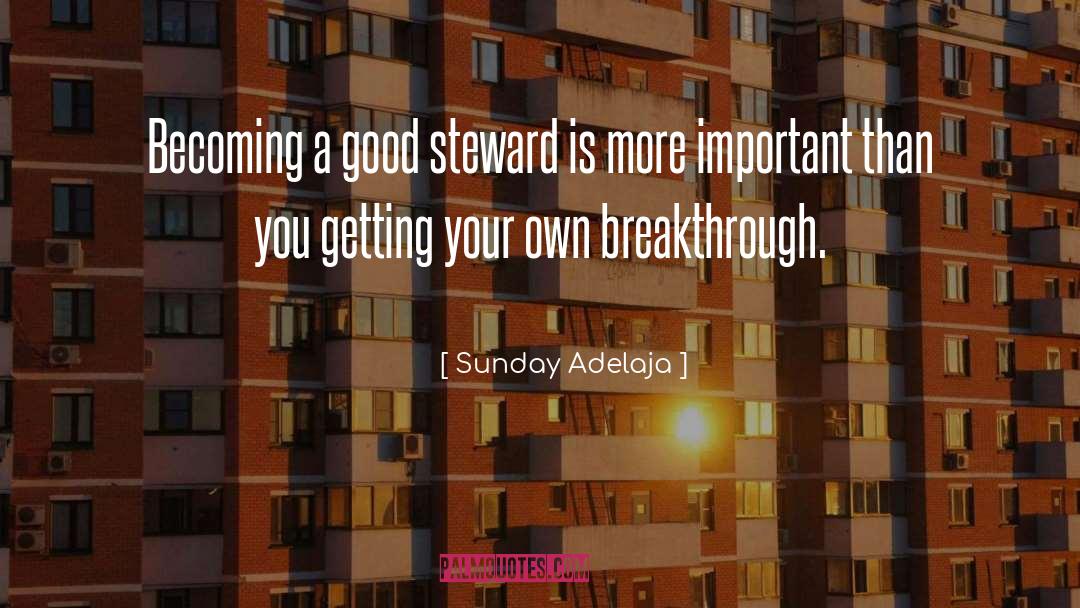 Good Steward quotes by Sunday Adelaja