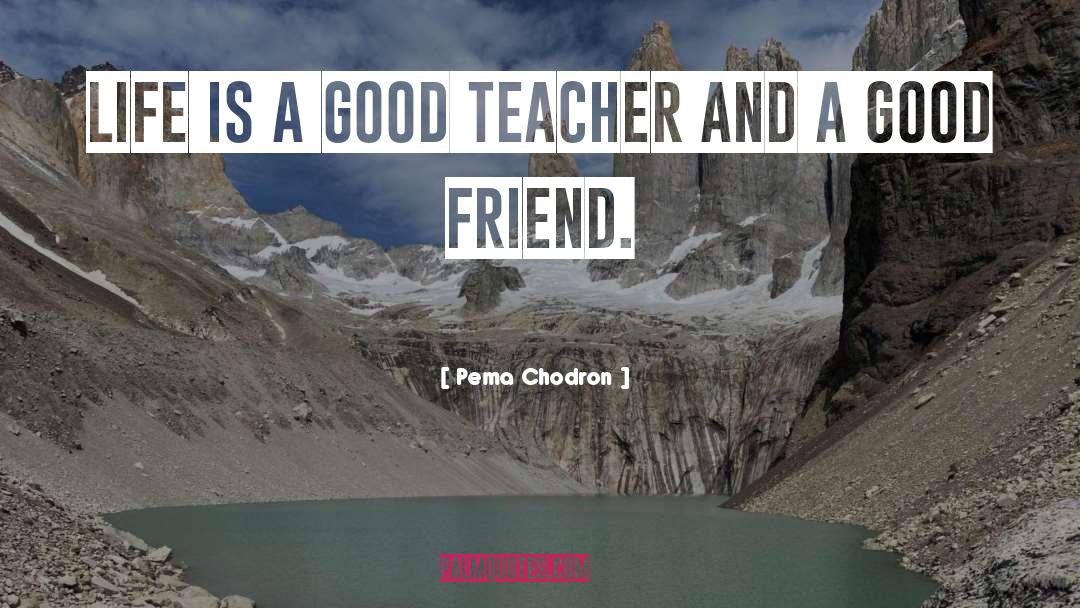 Good Teacher quotes by Pema Chodron