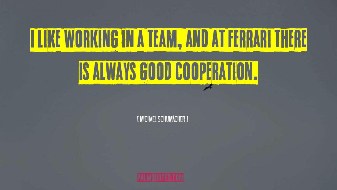 Good Team quotes by Michael Schumacher