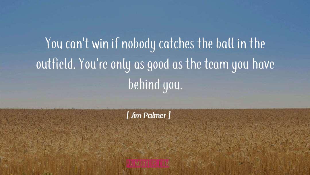 Good Team quotes by Jim Palmer