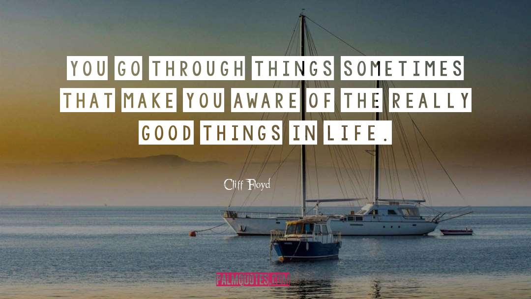 Good Things In Life quotes by Cliff Floyd