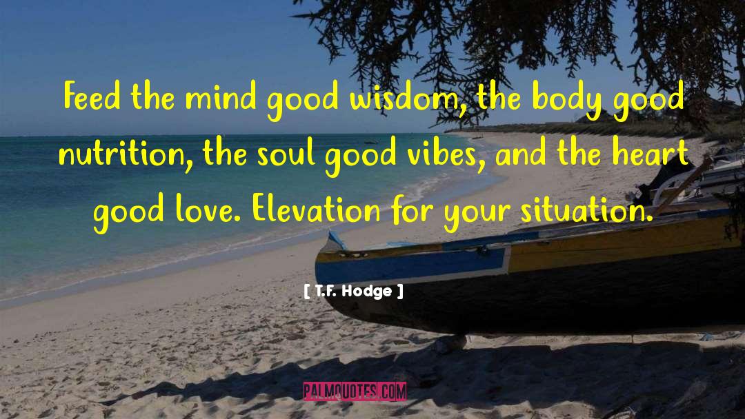 Good Vibes quotes by T.F. Hodge