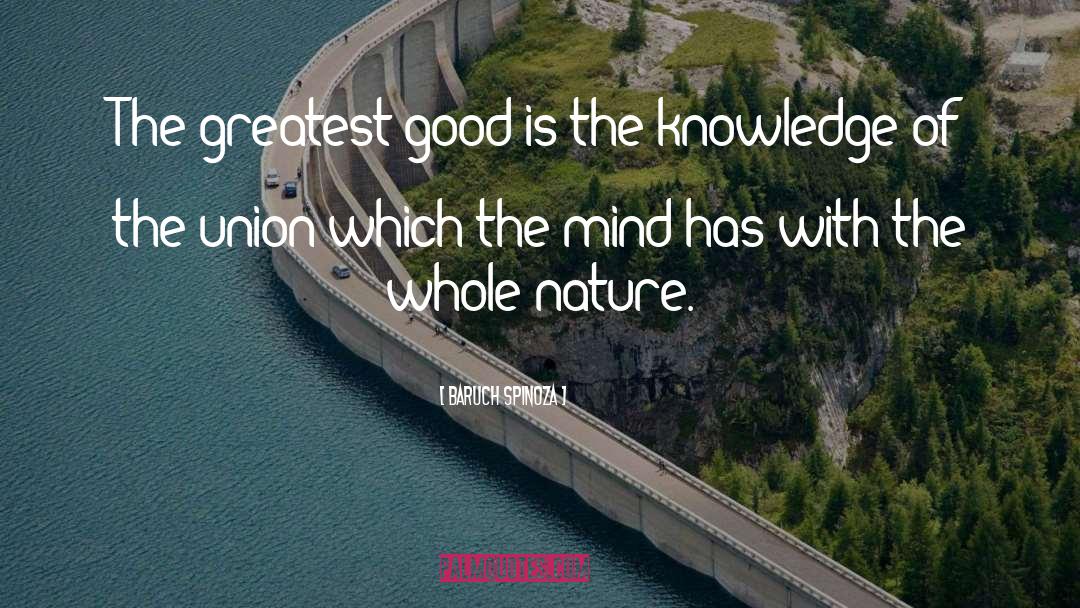 Good Vibes quotes by Baruch Spinoza