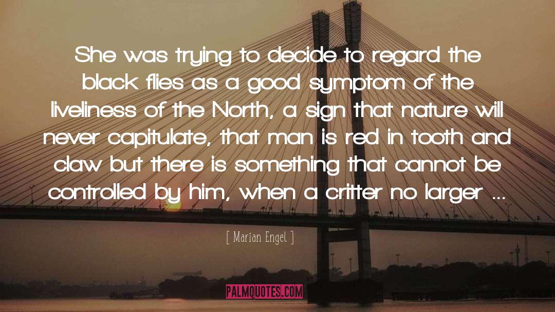Good Wales quotes by Marian Engel