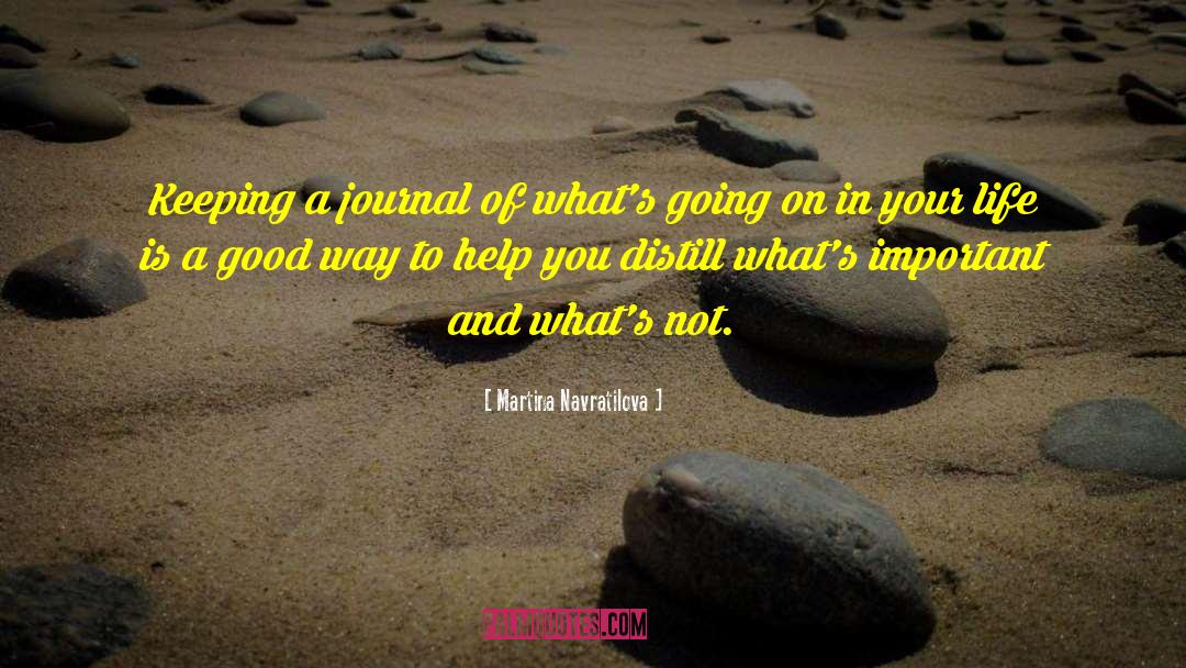 Good Way quotes by Martina Navratilova