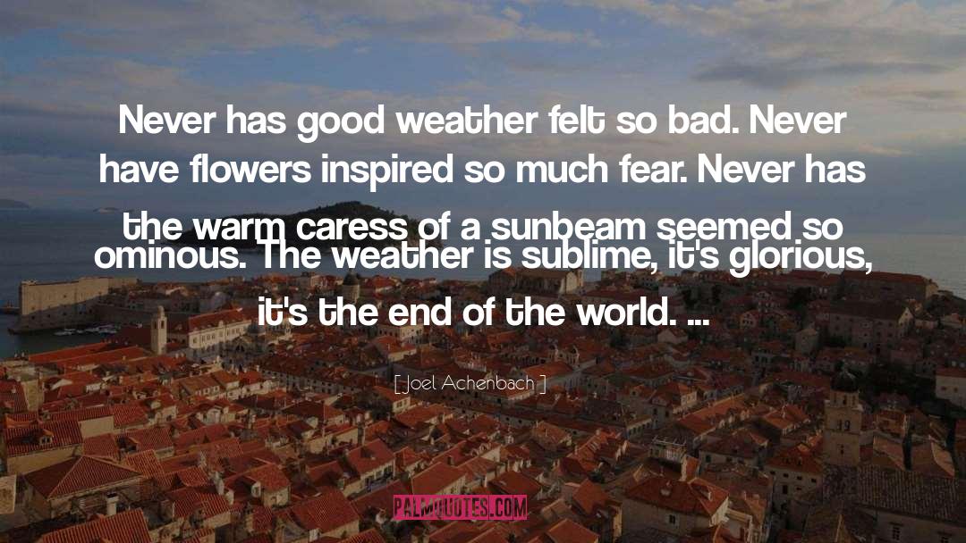 Good Weather quotes by Joel Achenbach