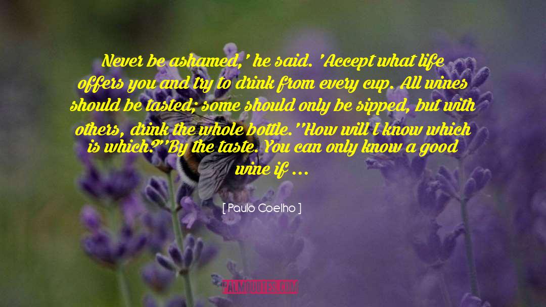 Good Wine quotes by Paulo Coelho