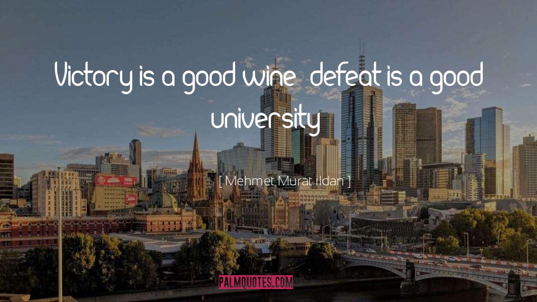 Good Wine quotes by Mehmet Murat Ildan