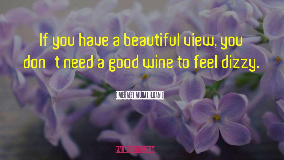Good Wine quotes by Mehmet Murat Ildan