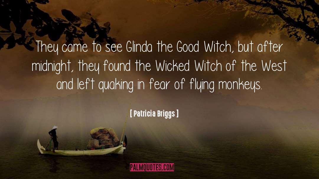 Good Witch quotes by Patricia Briggs