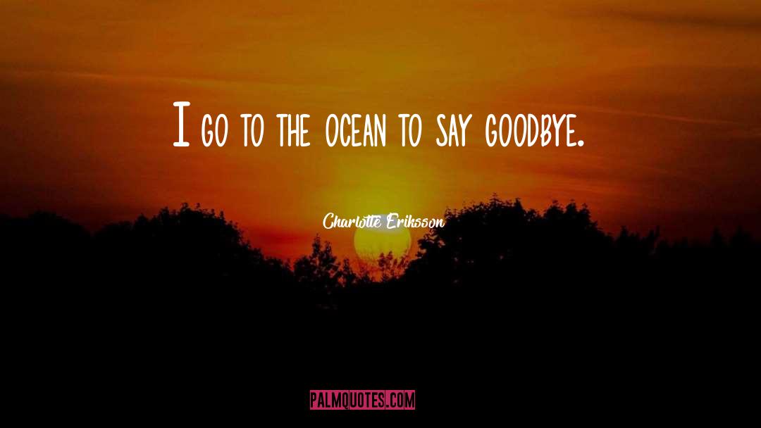 Goodbye Farewell quotes by Charlotte Eriksson