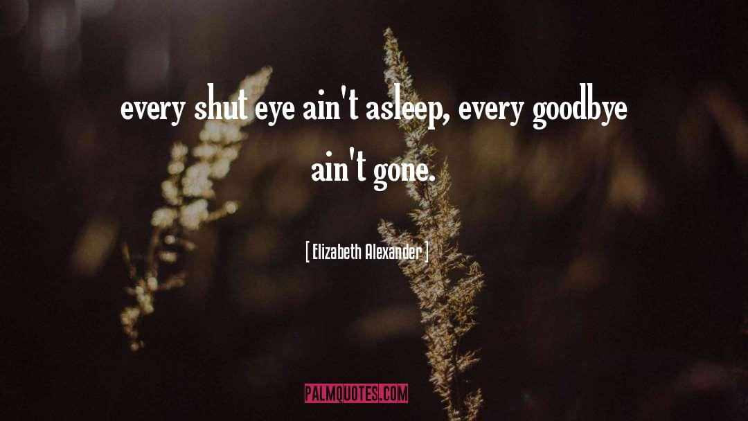 Goodbye Farewell quotes by Elizabeth Alexander
