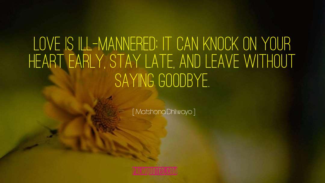 Goodbye Love quotes by Matshona Dhliwayo