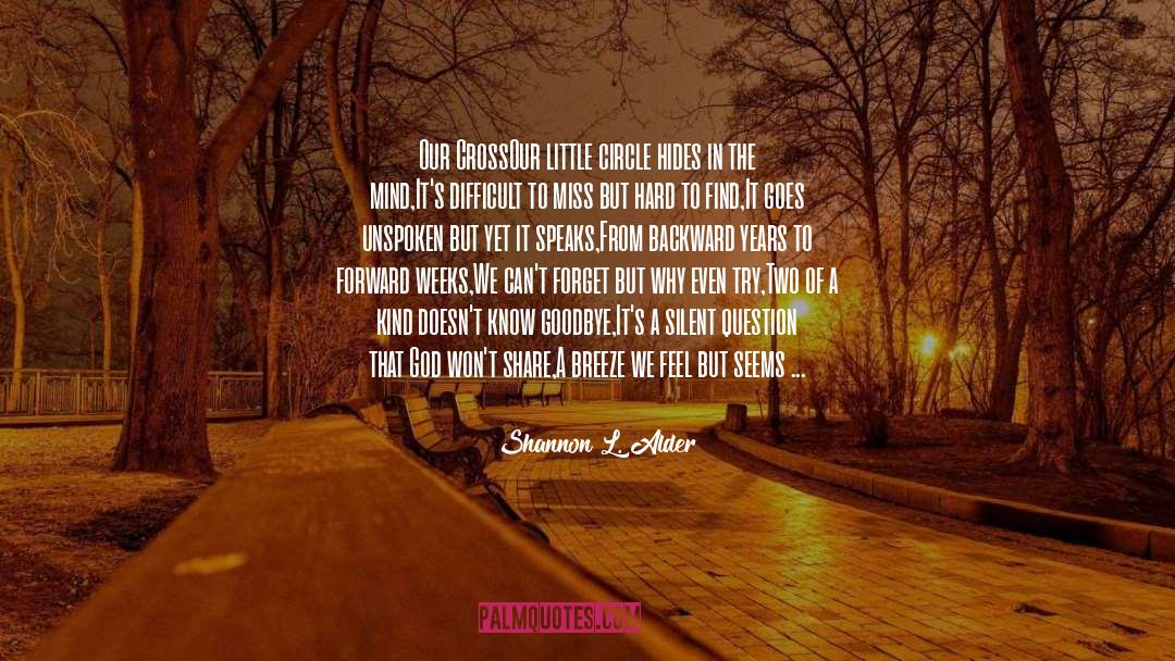 Goodbye Piccadilly quotes by Shannon L. Alder