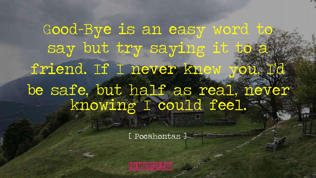 Goodbye Reply quotes by Pocahontas