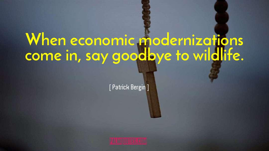 Goodbye Vitamin quotes by Patrick Bergin