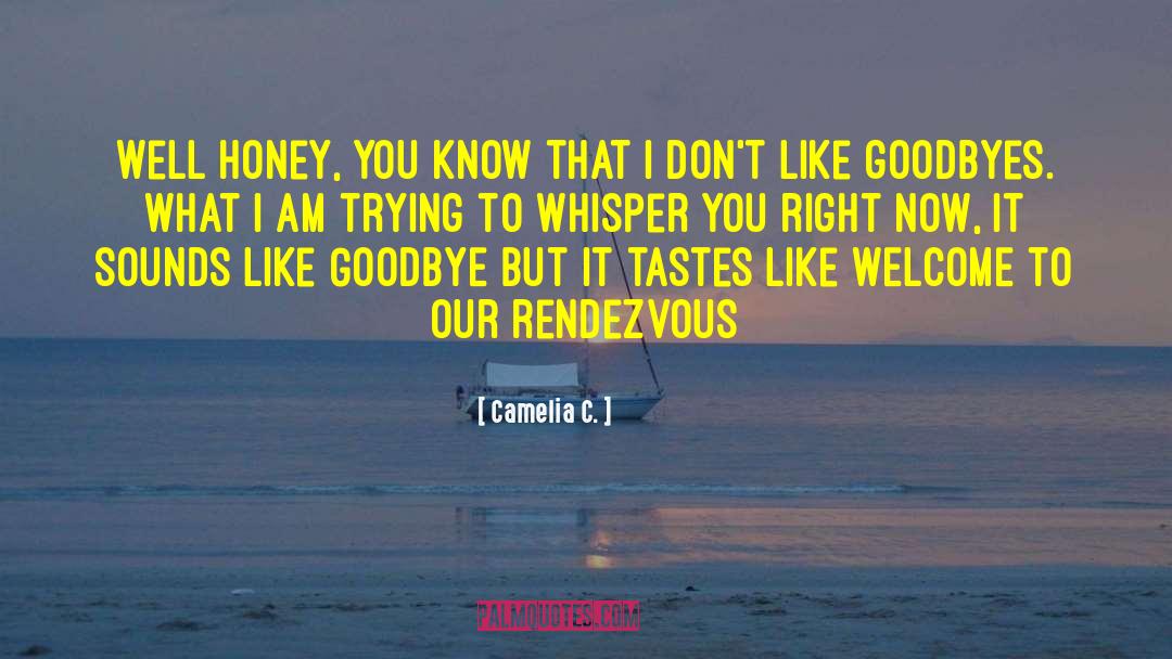 Goodbyes quotes by Camelia C.