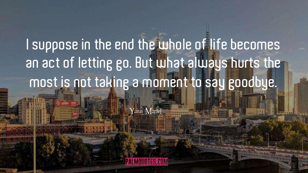 Goodbyes quotes by Yann Martel