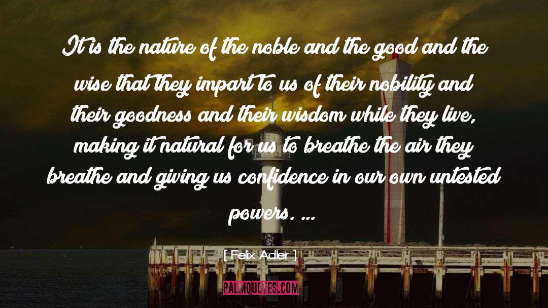 Goodness And Badness quotes by Felix Adler