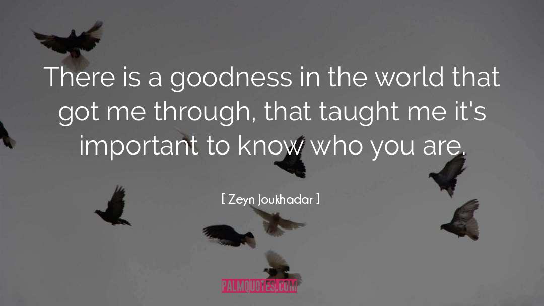 Goodness In The World quotes by Zeyn Joukhadar