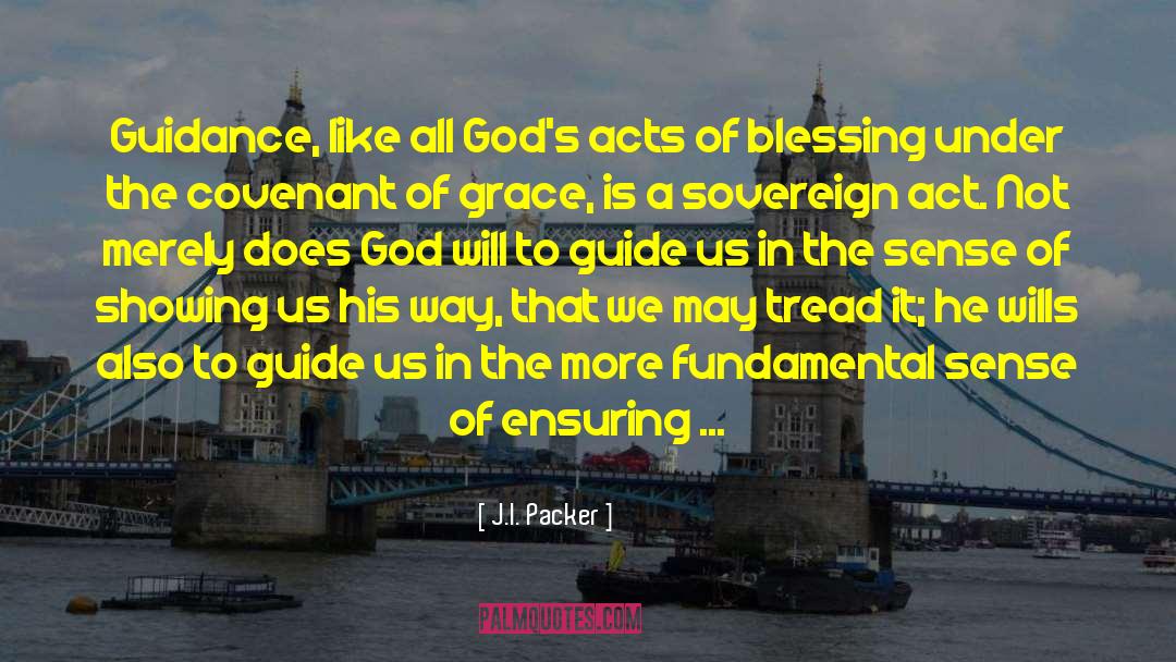 Goodness Of God quotes by J.I. Packer