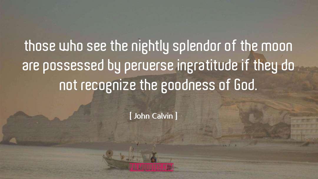 Goodness Of God quotes by John Calvin