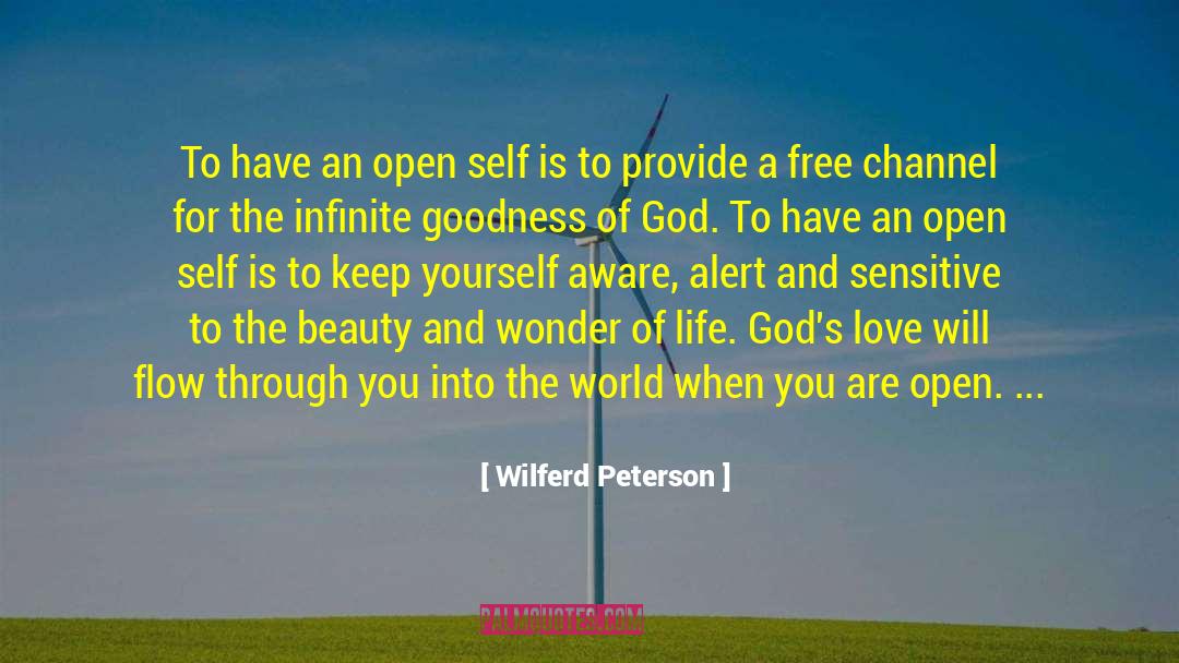 Goodness Of God quotes by Wilferd Peterson