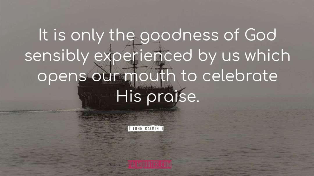 Goodness Of God quotes by John Calvin