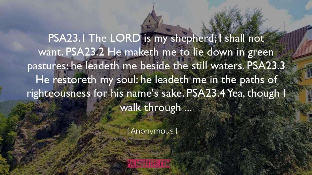 Goodness Of The Lord quotes by Anonymous