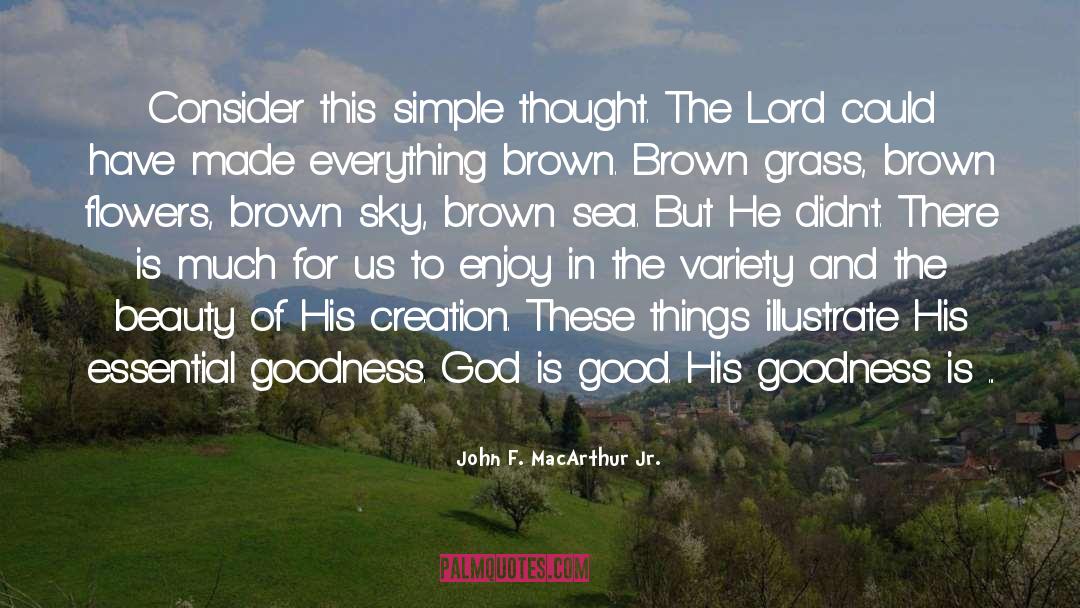Goodness Of The Lord quotes by John F. MacArthur Jr.