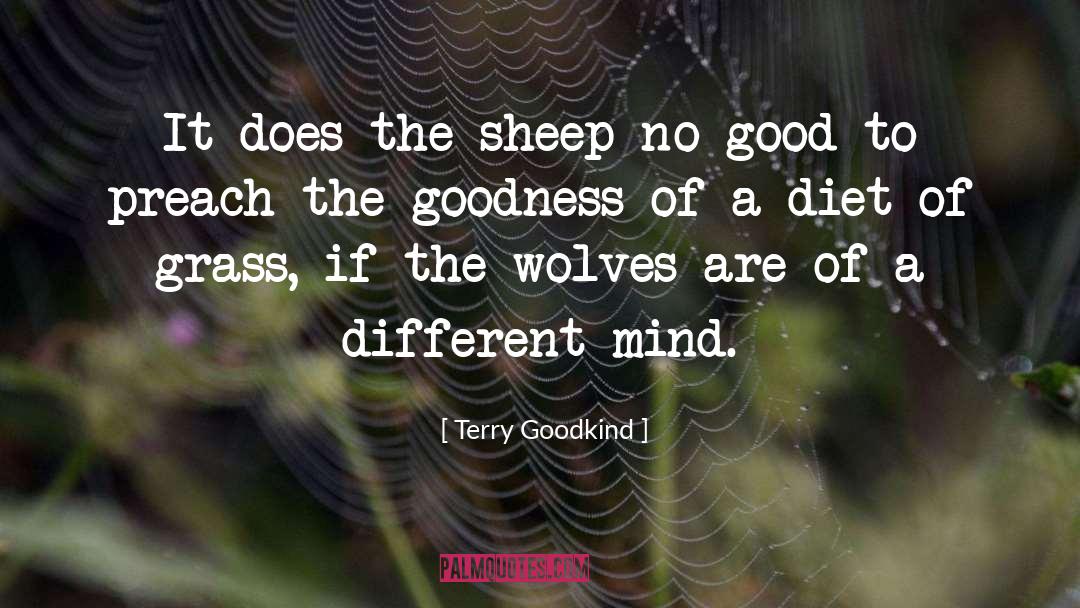 Goodness quotes by Terry Goodkind