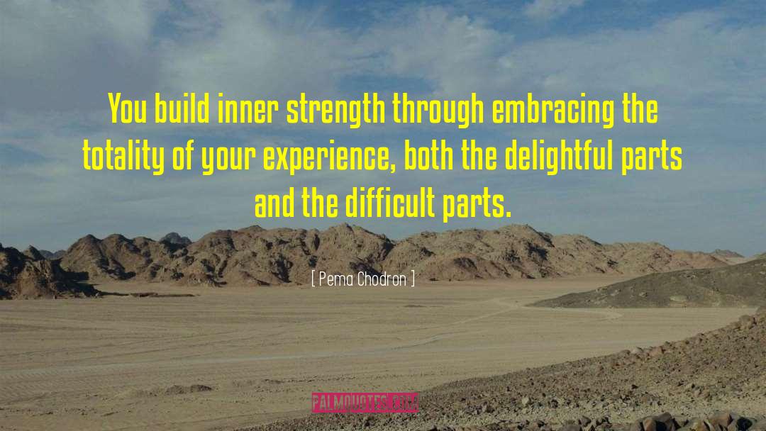 Goodness Strength quotes by Pema Chodron