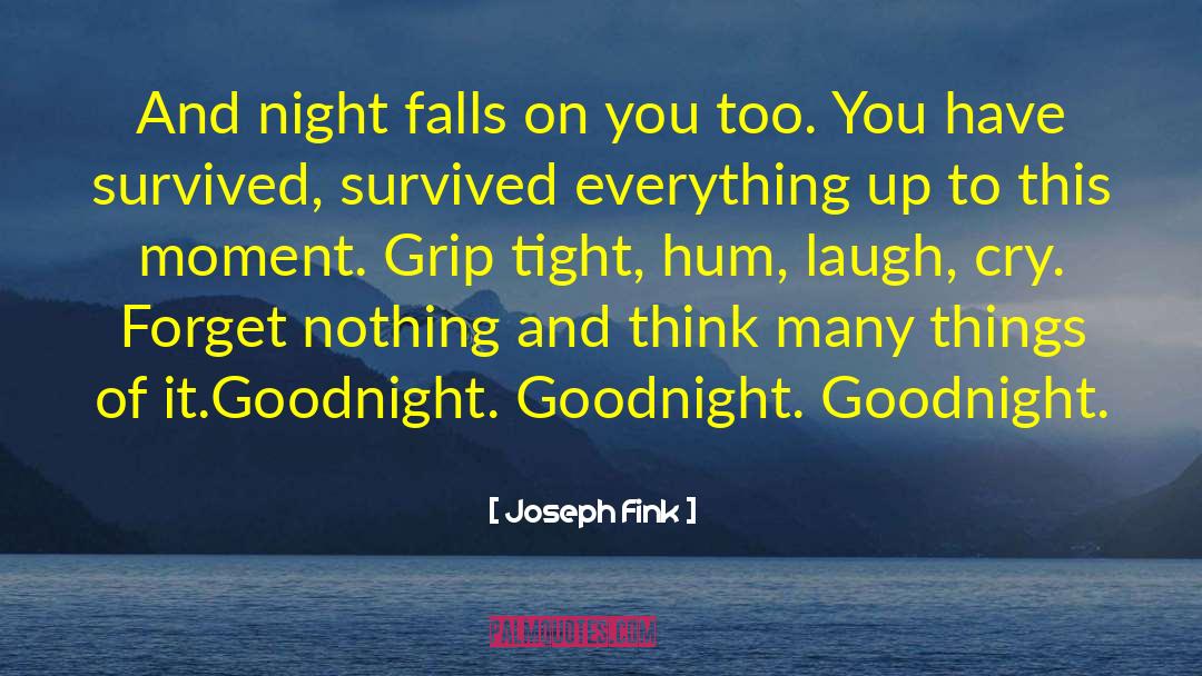 Goodnight My Love New quotes by Joseph Fink
